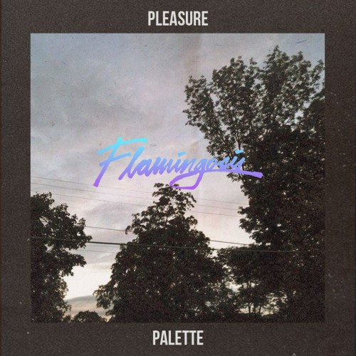 Flamingosis Pleasure Palette